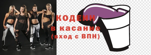 соль ск Козельск