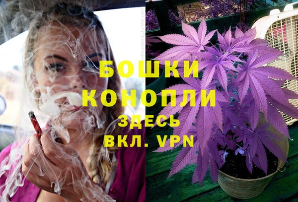 соль ск Козельск