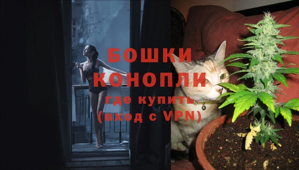 первитин Сосновый Бор