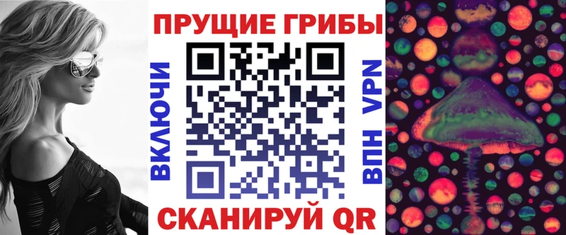 Галлюциногенные грибы Psilocybine cubensis  Купить где  Вязьма 