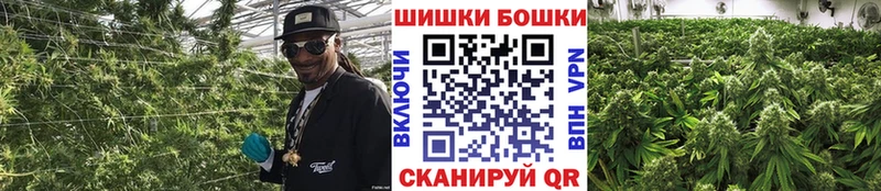 Купить  Вязьма  Бошки Шишки план 
